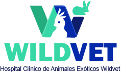branding logo